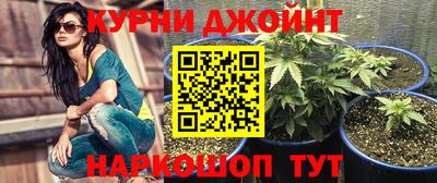 спиды Аргун