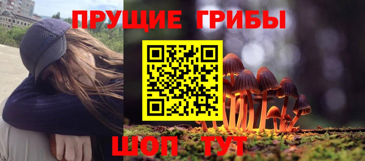 где можно купить наркотик  Вход с VPN  Апрелевка  Псилоцибиновые грибы мицелий 