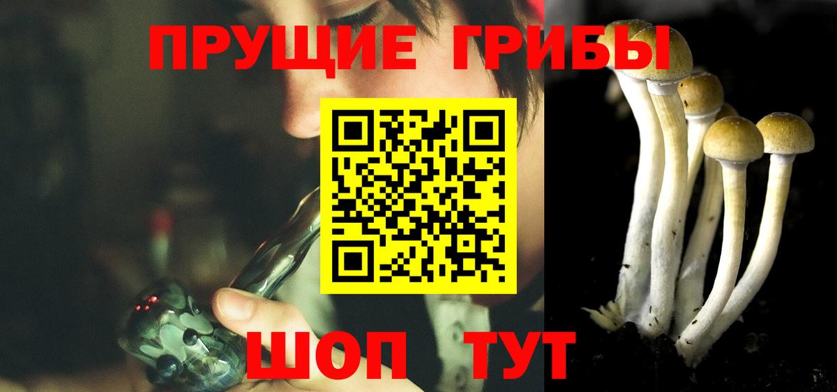 Псилоцибиновые грибы мухоморы Апрелевка
